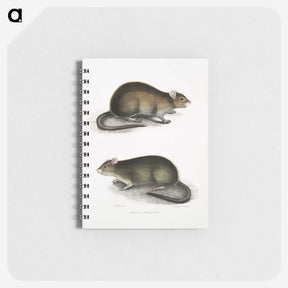 2-31_Indian-Zoology_memo