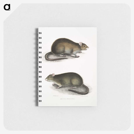 2-31_Indian-Zoology_memo