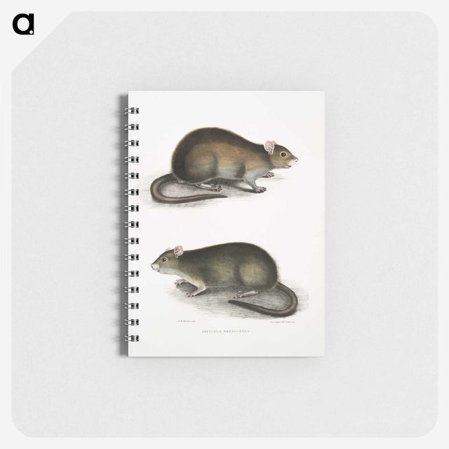 2-31_Indian-Zoology_memo