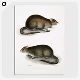 2-31_Indian-Zoology_picture-crop