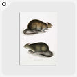 2-31_Indian-Zoology_postcard