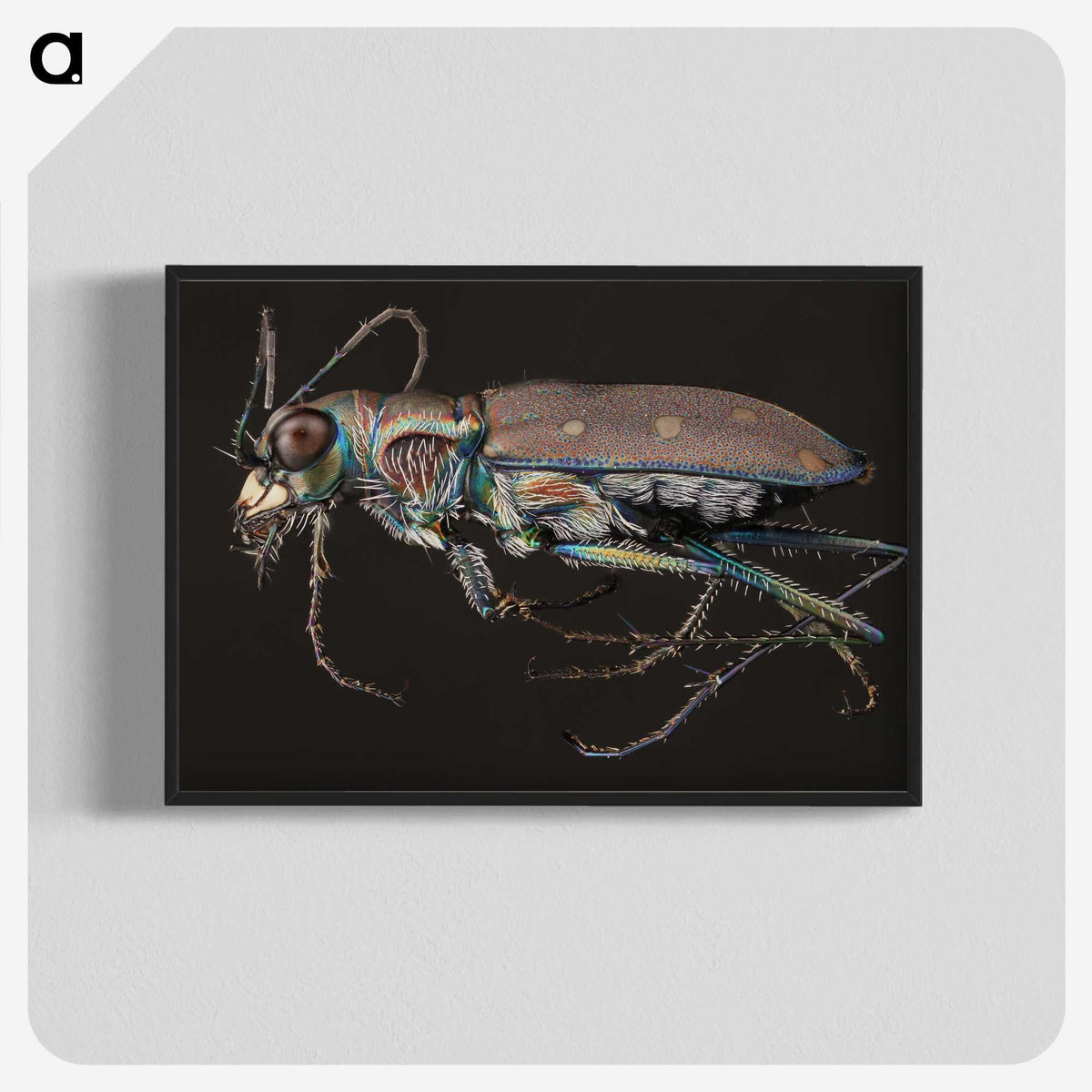2-31_Insects-Unlocked-Project_blk-crop