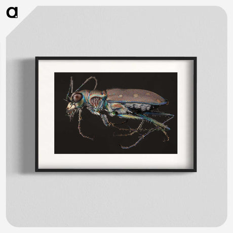 2-31_Insects-Unlocked-Project_blk
