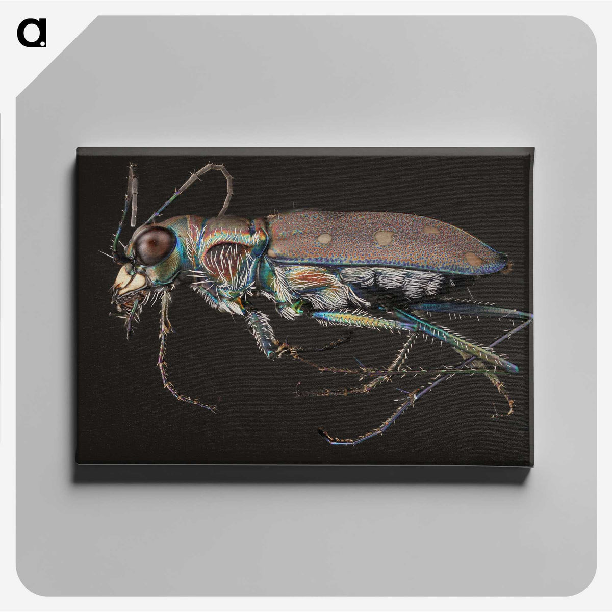 2-31_Insects-Unlocked-Project_canvas