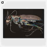 2-31_Insects-Unlocked-Project_picture-crop