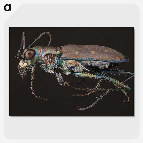 2-31_Insects-Unlocked-Project_picture-crop