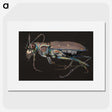 2-31_Insects-Unlocked-Project_picture