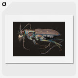 2-31_Insects-Unlocked-Project_picture