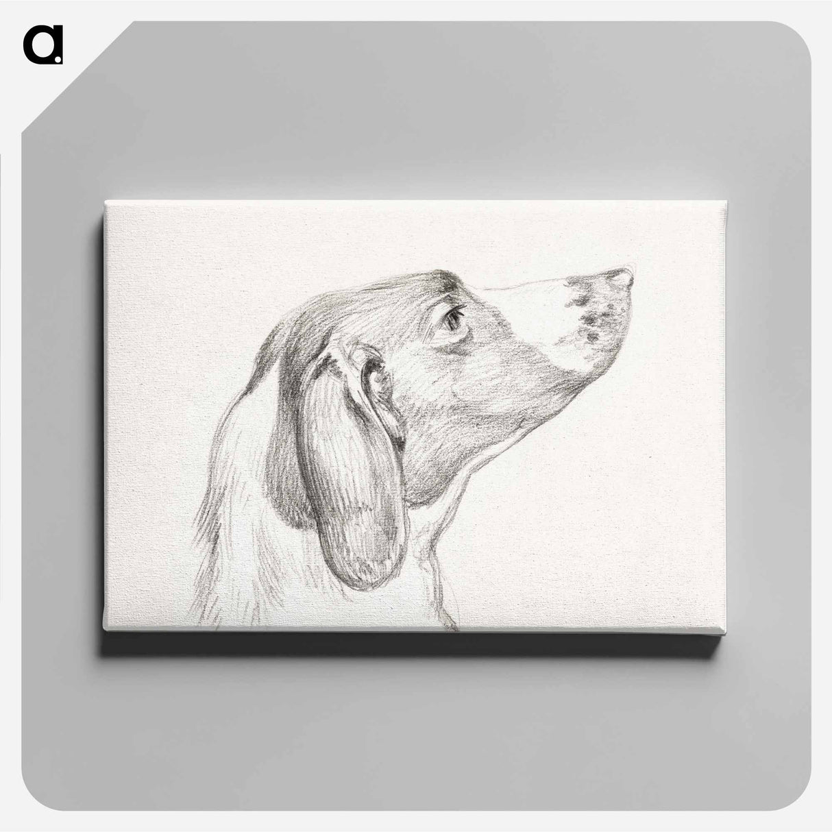 アートパネル-Head of a dog - ジャン ベルナール Canvas.
