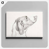 アートパネル-Head of a dog - ジャン ベルナール Canvas.