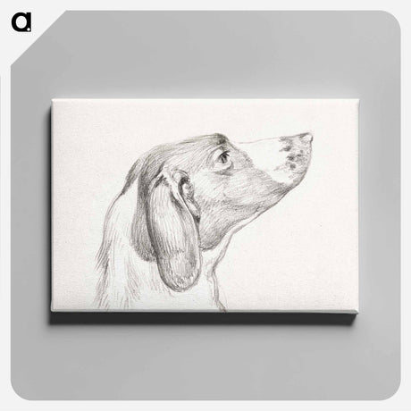 アートパネル-Head of a dog - ジャン ベルナール Canvas.