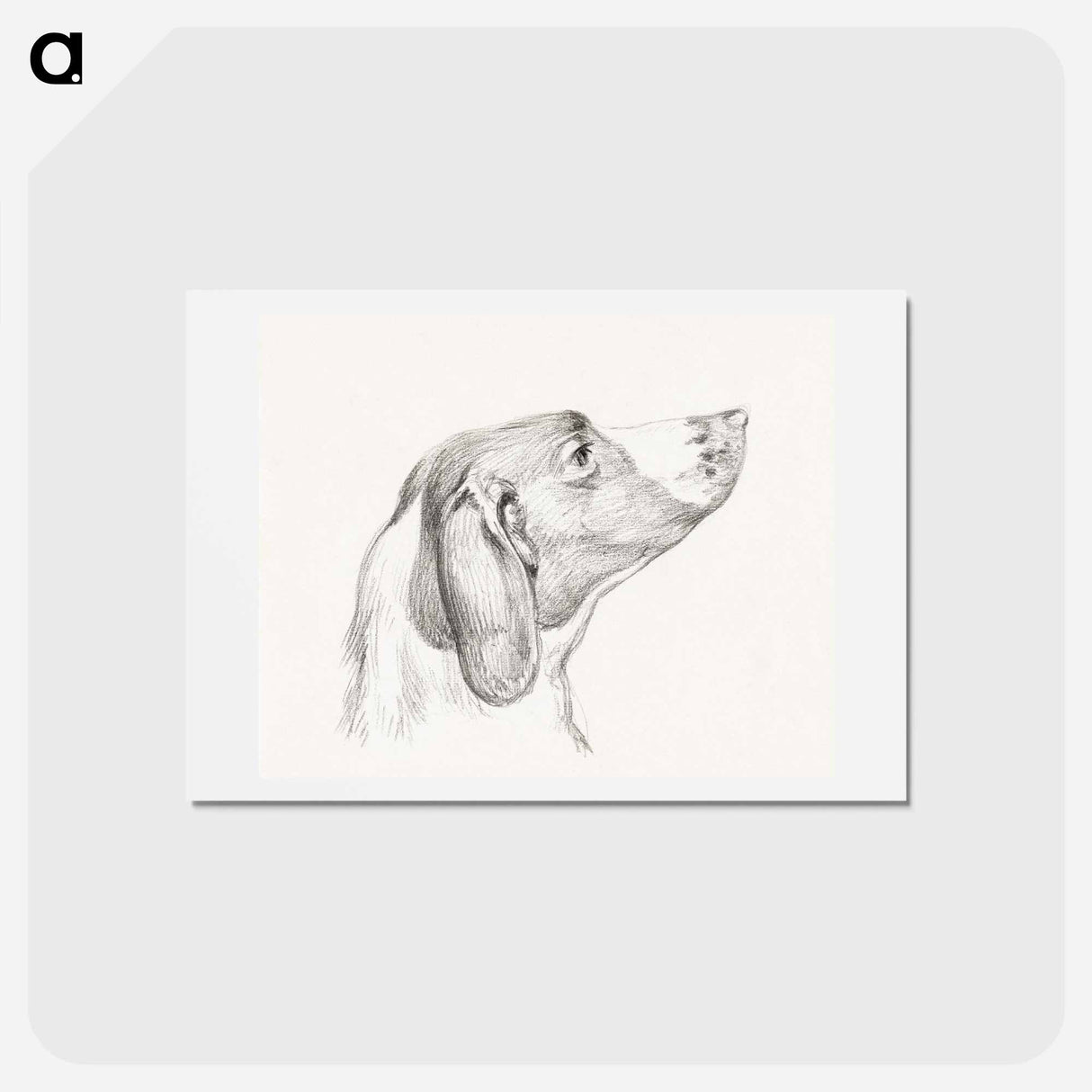 アートポストカード-Head of a dog - ジャン ベルナール Postcard.