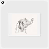アートポストカード-Head of a dog - ジャン ベルナール Postcard.