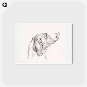アートポストカード-Head of a dog - ジャン ベルナール Postcard.