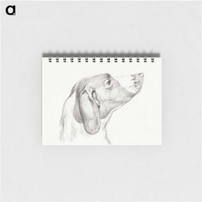 2-31_Jean-Bernard_memo