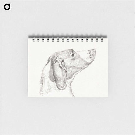 2-31_Jean-Bernard_memo