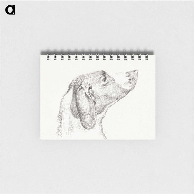 2-31_Jean-Bernard_memo