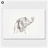 2-31_Jean-Bernard_picture