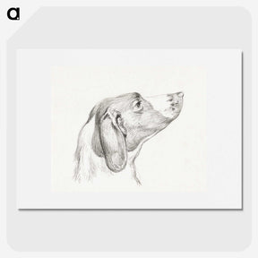 2-31_Jean-Bernard_picture