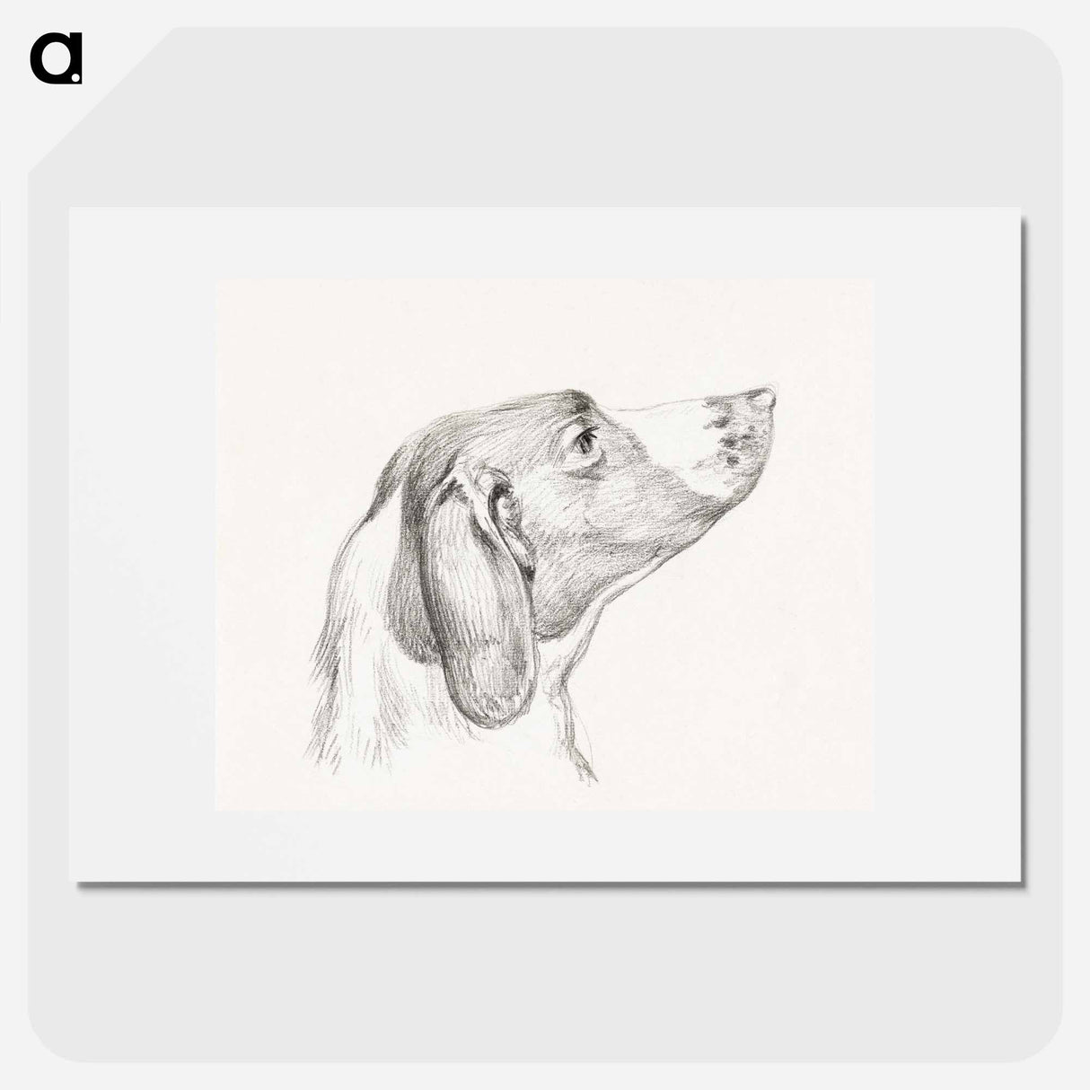 Head of a dog - Jean Bernard Poster.