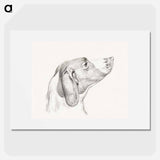 Head of a dog - Jean Bernard Poster.