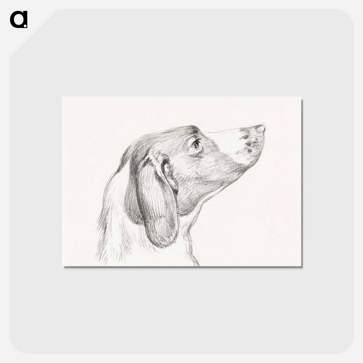 アートポストカード-Head of a dog - ジャン ベルナール Postcard.