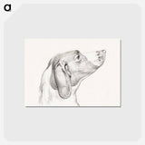 アートポストカード-Head of a dog - ジャン ベルナール Postcard.