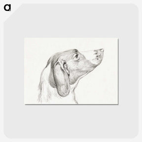 2-31_Jean-Bernard_postcard