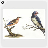 2-31_Johan-Teyler_picture-crop