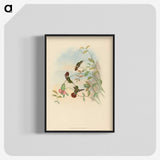 2-31_John-Gould_blk-crop
