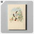 2-31_John-Gould_canvas