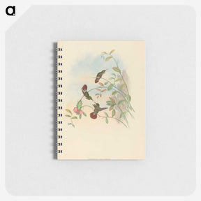 2-31_John-Gould_memo