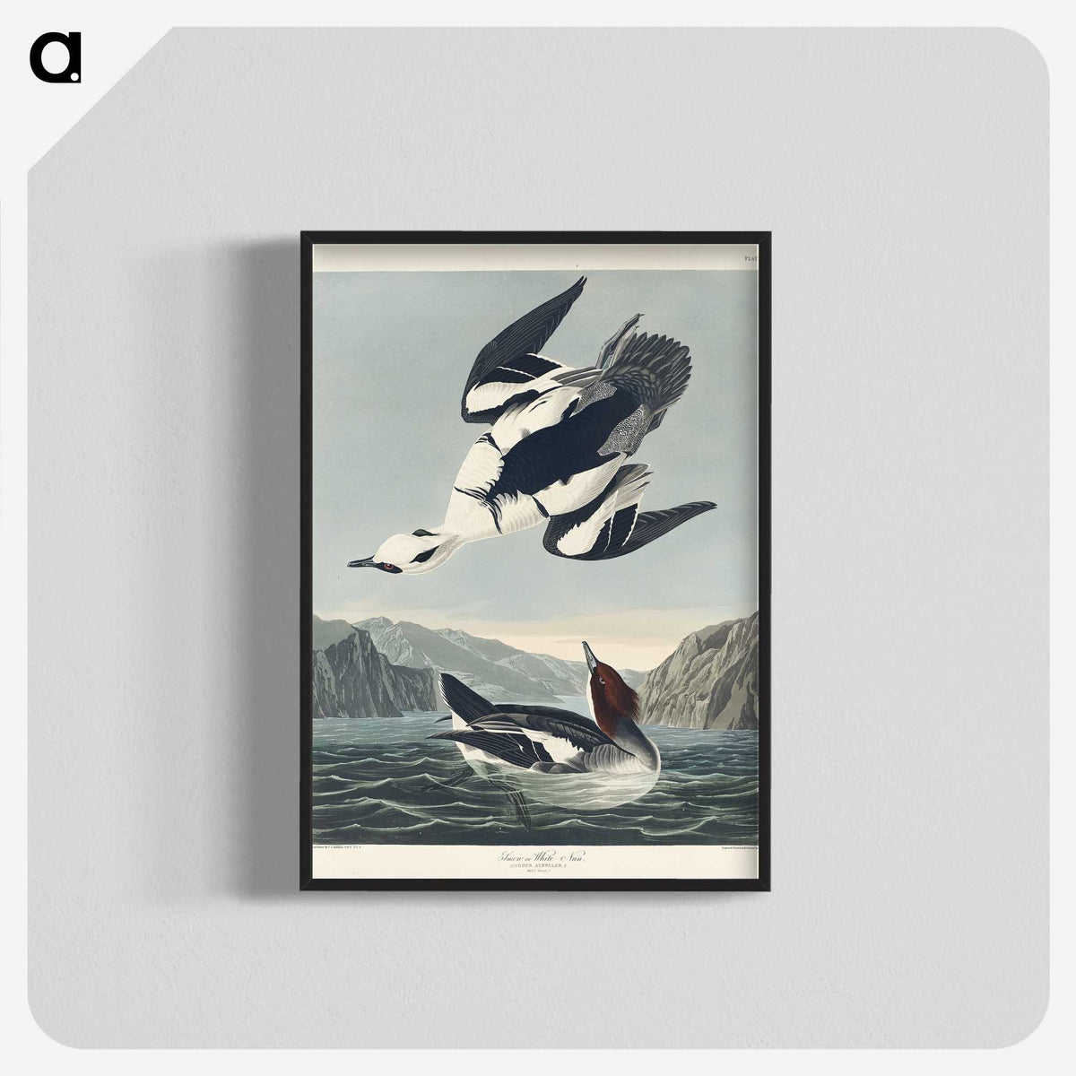 2-31_John-James-Audubon_blk-crop