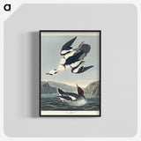 2-31_John-James-Audubon_blk-crop