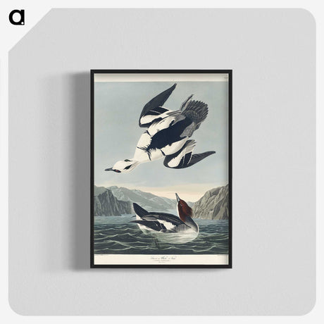 2-31_John-James-Audubon_blk-crop
