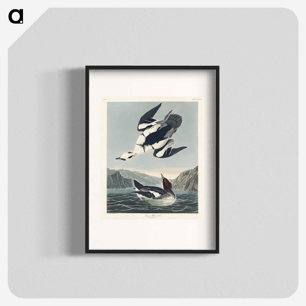 2-31_John-James-Audubon_blk