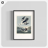 2-31_John-James-Audubon_blk