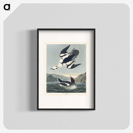 2-31_John-James-Audubon_blk