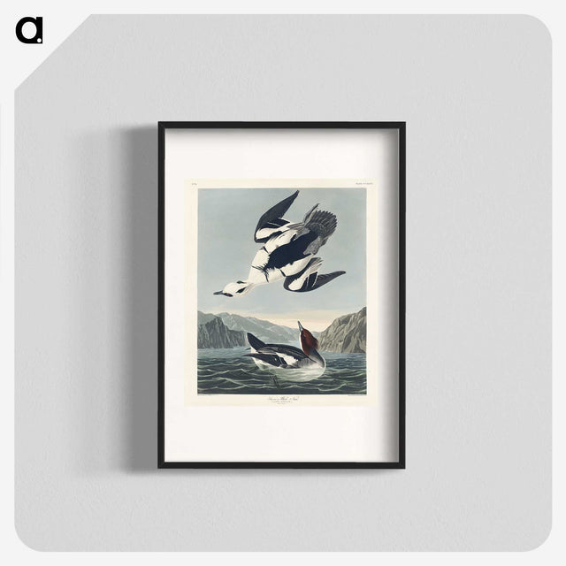 2-31_John-James-Audubon_blk