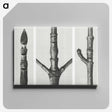 2-31_Karl-Blossfeldt_canvas