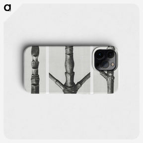 2-31_Karl-Blossfeldt_phone