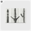2-31_Karl-Blossfeldt_postcard