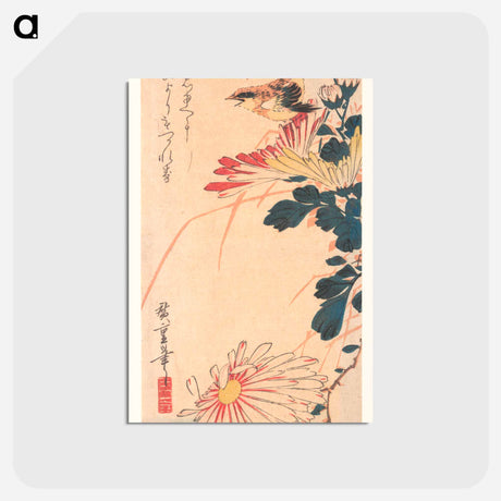 アートポストカード-A Wren and Chrysanthemums - 喜多川 歌麿 Postcard.