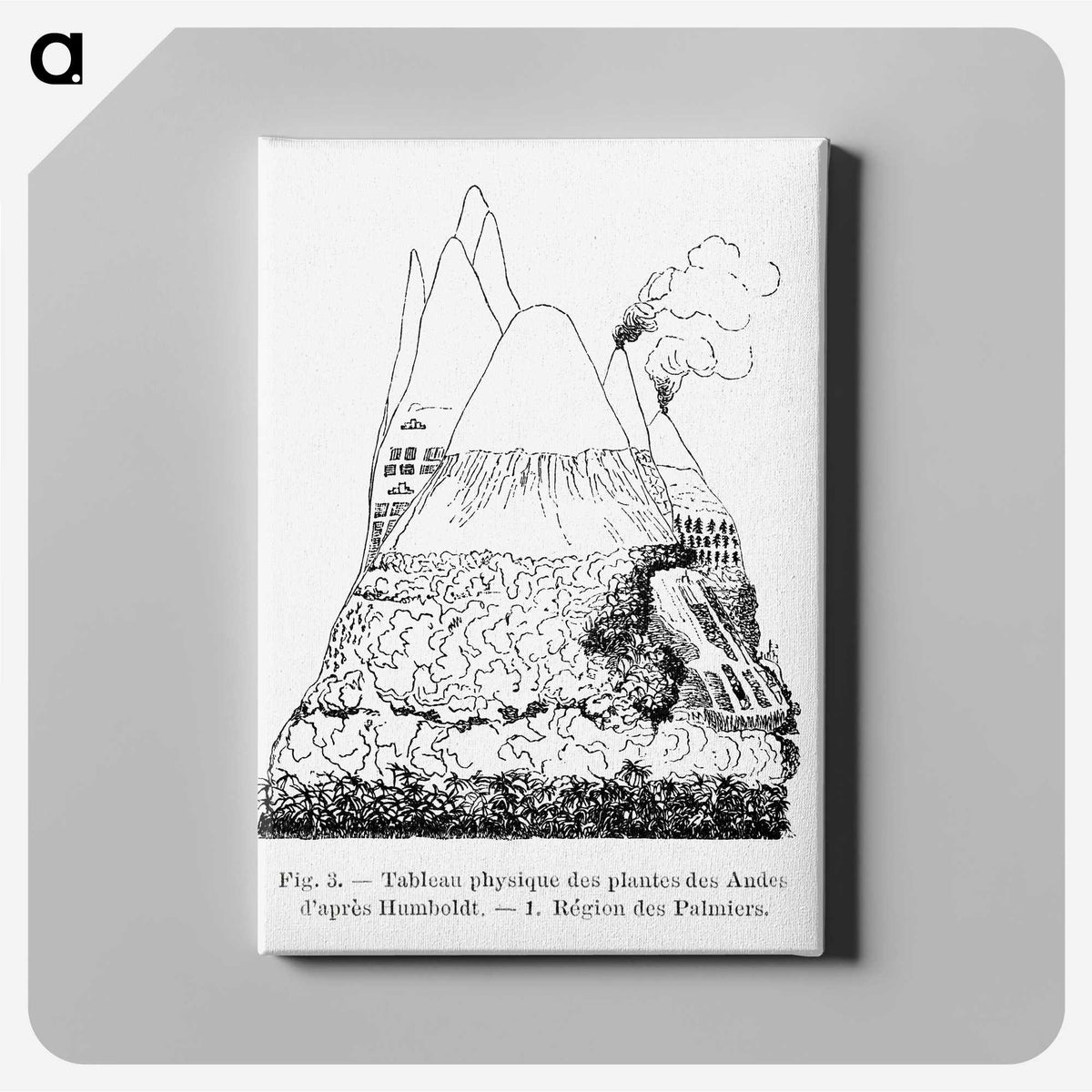 2-31_Les-Palmiers-Histoire-Iconographique_canvas
