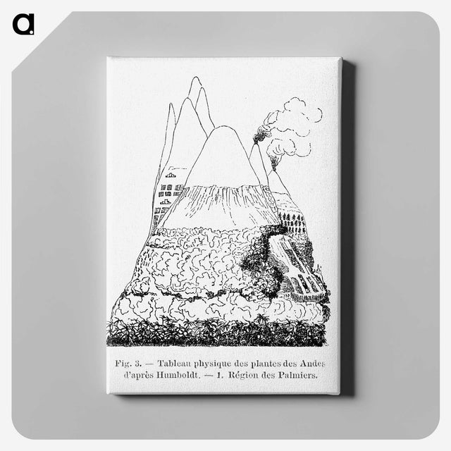 2-31_Les-Palmiers-Histoire-Iconographique_canvas