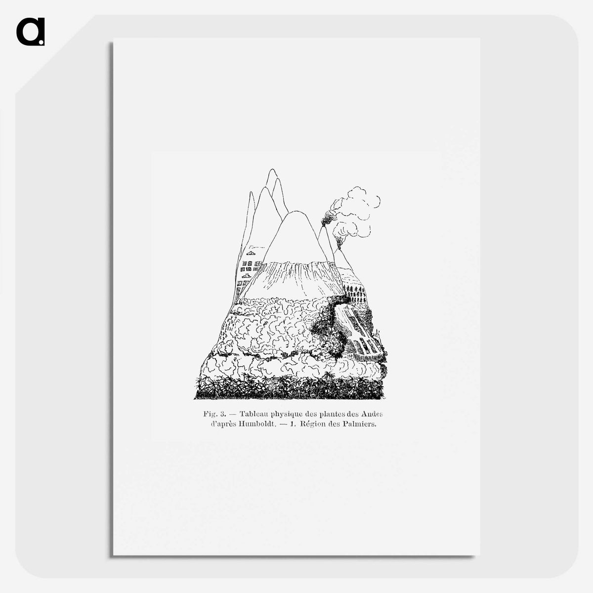 2-31_Les-Palmiers-Histoire-Iconographique_picture