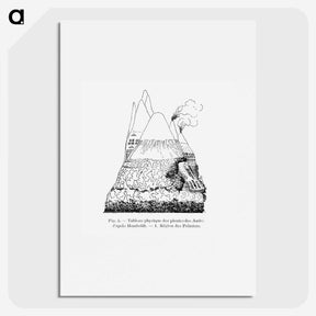 2-31_Les-Palmiers-Histoire-Iconographique_picture