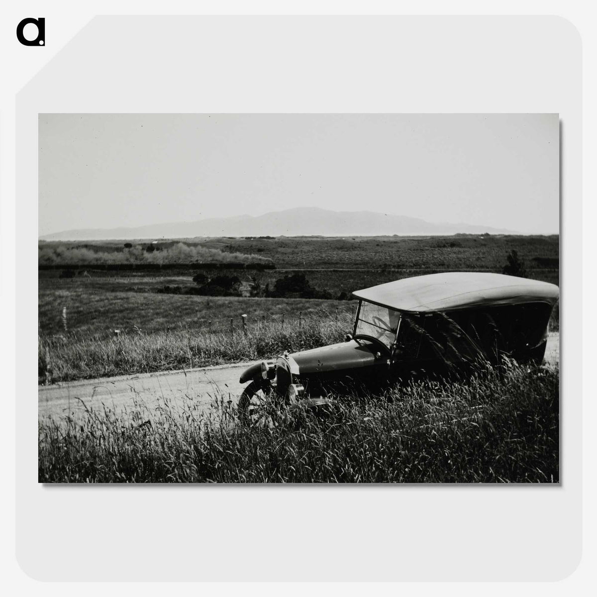 2-31_Leslie-Adkin_picture-crop