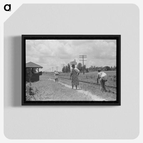 2-31_Marion-Post-Wolcott_blk-crop