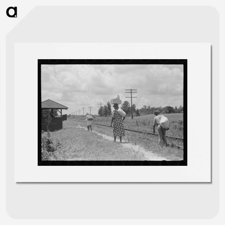 2-31_Marion-Post-Wolcott_picture